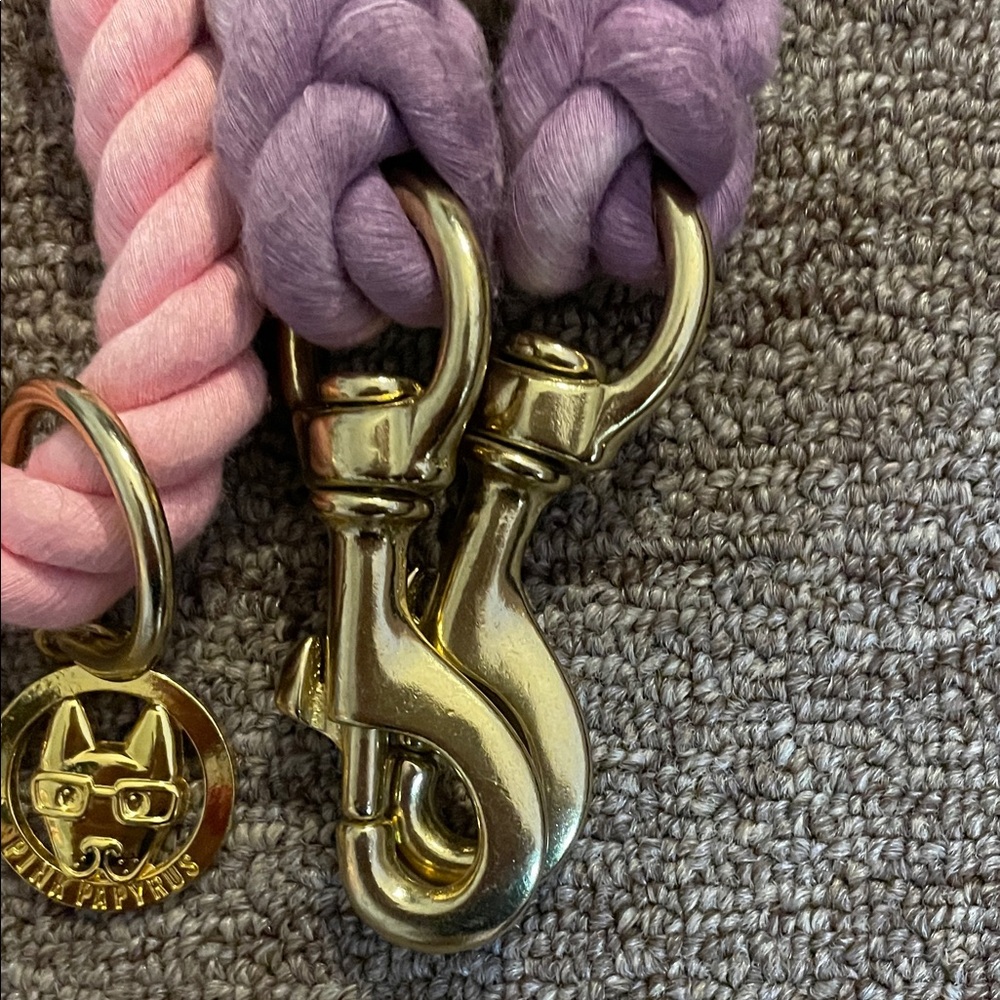 Vibrant Multicolor Dog Leash****ONLY 1, PLEASE SEE NOTE BELOW**** - Picture 3 of 5